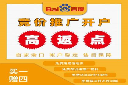 网络推广竞价实战：某电商平台的成功案例